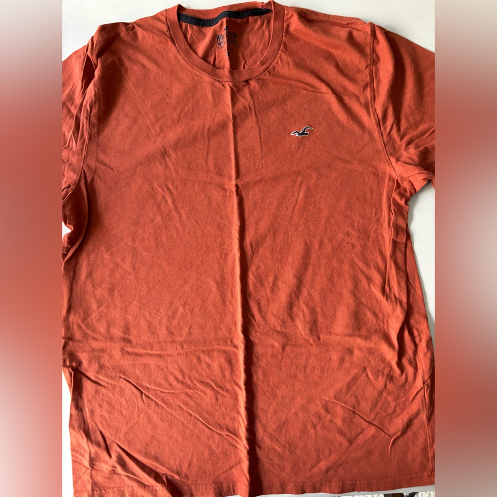 Hollister Must-have collection burnt orange t shirt